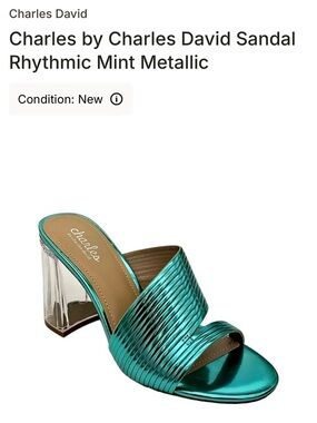 Charles by Charles David Metallic Mint Slide Mule with Clear Block Heel